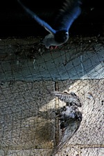 „Das Nachdenken über den Tod ist ein Nachdenken über Widersprüche“